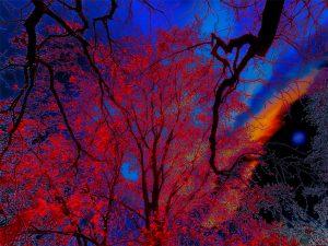 Couleurs irréelles !